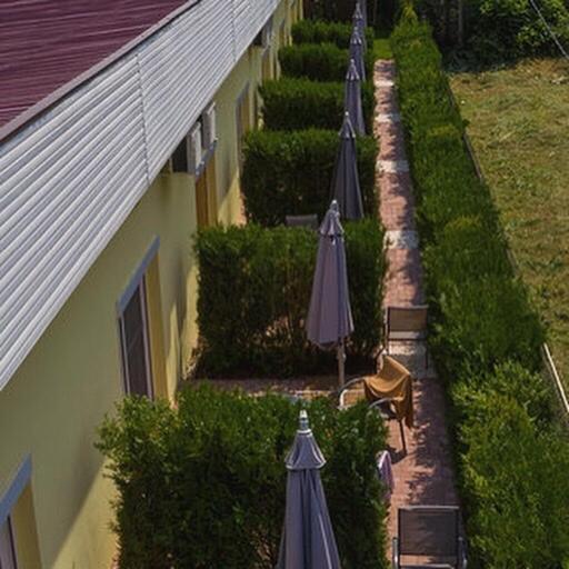 Casa Ana Hotel Vama Veche Buitenkant foto